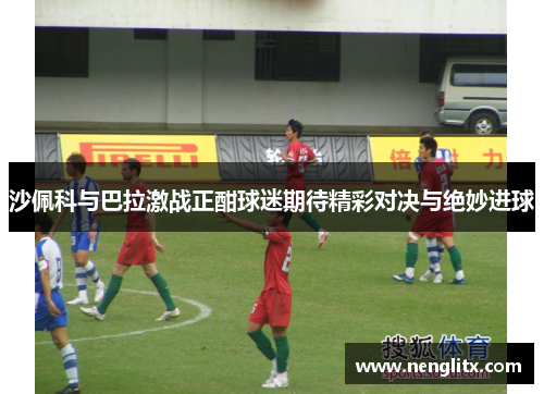 沙佩科与巴拉激战正酣球迷期待精彩对决与绝妙进球